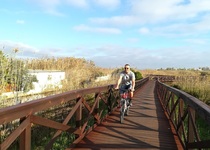 El Ayuntamiento de Peñíscola interviene en la limpieza del marjal y pide a la Generalitat doble pasarela de madera para el recorrido medioambiental que lleva a la zona escolar