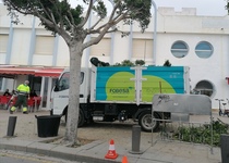 Peñíscola realiza tareas de mantenimiento  y embellecimiento de los espacios públicos