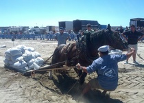 Primeras actividades para abrir boca antes de las Fiestas Patronales