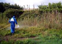 La concejalía de Medio Ambiente del Ayuntamiento de Peñíscola continúa con los trabajos para el control de plagas 