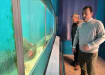 El Museo del Mar de Peñíscola suma más de 63.000 visitantes en 2022 