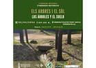 eventos peniscola