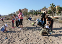 Tragsa y Ecomar regeneran las dunas de la Playa norte de Peñíscola