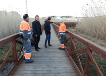 El Ayuntamiento de Peñíscola avanza en las tareas de rutina de desbroce del marjal y la zona del Ullal